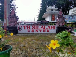 Berbagai Koleksi hingga Kisah Menarik di Museum Batak TB Silalahi