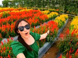 Celebrity on Vacation: Main ke Kebun Bunga Argowisata Banyuwangi