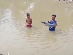 Lumba-lumba Remaja Disorientasi Ditemukan di Sungai, Ini Kata BKSDA Aceh