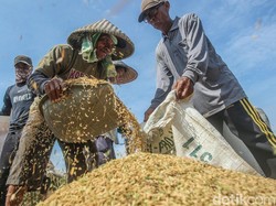 Daya Beli Petani dan Nelayan Naik, Ini Penyebabnya