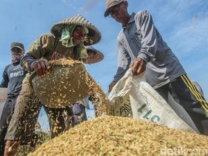 Daya Beli Petani dan Nelayan Naik, Ini Penyebabnya Daya Beli Petani dan Nelayan Naik, Ini Penyebabnya