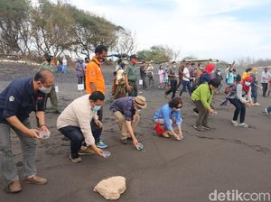 1.000 Tukik Dilepas di Pantai Trisik 1.000 Tukik Dilepas di Pantai Trisik