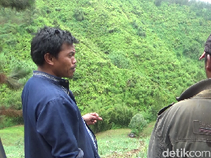 Peristiwa Pikap Jatuh Terguling-guling ke Jurang di Lumajang