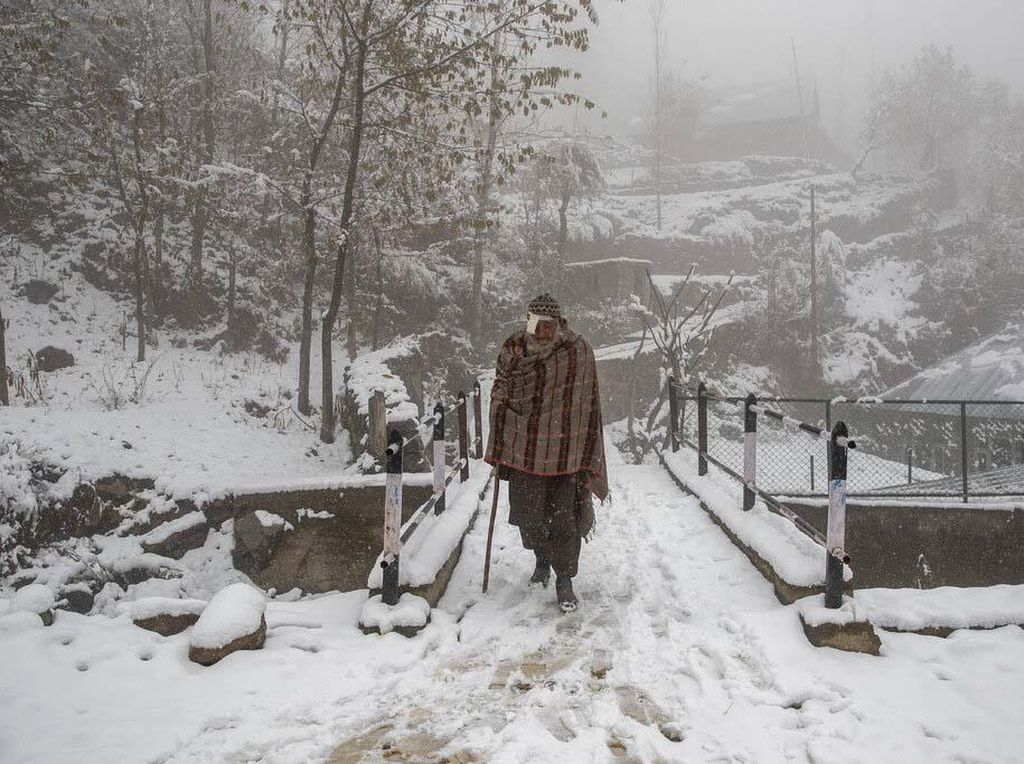 Potret Hujan Salju di Kashmir Potret Hujan Salju di Kashmir