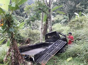 Mobil Pikap Muatan Ikan Terjun ke Jurang Cianjur, Sopir-Kernet Luka Parah