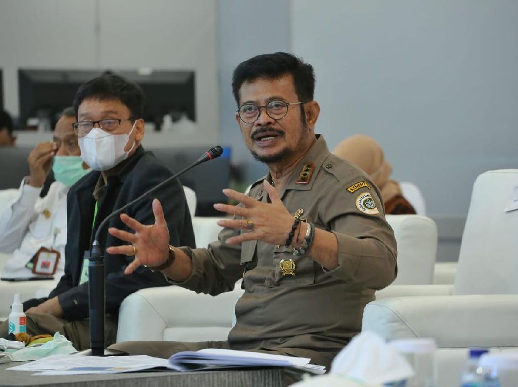 Ada Lumbung Pangan di Kalteng & Sumut, Impor Pangan Bisa Turun 10% Ada Lumbung Pangan di Kalteng & Sumut, Impor Pangan Bisa Turun 10%
