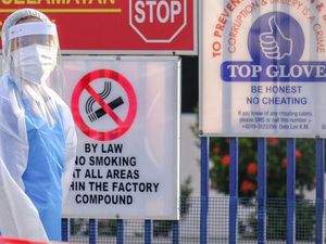 2.500 Karyawan Positif Corona, Puluhan Pabrik Sarung Tangan di Malaysia Tutup