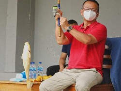 Fakta Kebijakan Ekspor Benih Lobster yang Bikin Edhy Prabowo Ditangkap KPK