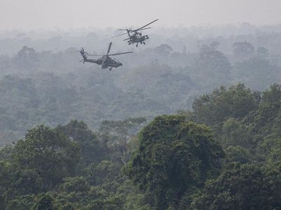 Melihat Pasukan TNI AD Kala Berlaga di Medan Perang
