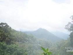 Laporan Hilang 9 Pendaki Berujung Blacklist 2 Tahun ke Gede Pangrango