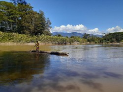 Ini Lembah Baliem Papua, Apa yang Ada di Sana?