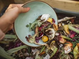 Contoh Sampah Organik: Pengertian, Jenis, Manfaat, dan Cara Mengolah Contoh Sampah Organik: Pengertian, Jenis, Manfaat, dan Cara Mengolah