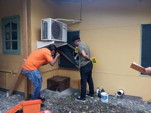 Rumah Pejabat Freeport di Timika Dibobol Maling, Mahkota Cenderawasih Hilang