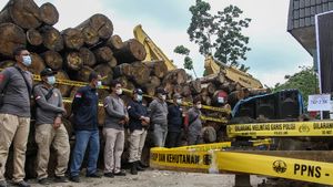 Potret Tumpukan Ribuan Kayu Ilegal di Riau