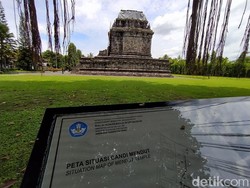 Antisipasi Erupsi Merapi, Candi Mendut Mulai Ditutupi Terpaulin
