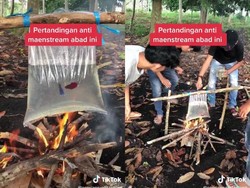 Duh! Adu Ikan Cupang di Atas Api yang Kalah Langsung Digoreng