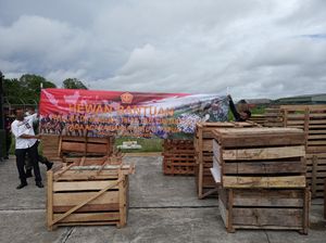 Panglima TNI Kirim 59 Ekor Babi ke Papua, Ikut Meriahkan Upacara Bakar Batu