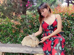 Nikah Siri dengan Kiwil, Bagaimana Nasib Pernikahan Eva Belisima dengan Pria India?