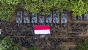 Foto: Puncak Latihan Tempur TNI AD di Sumatera Selatan