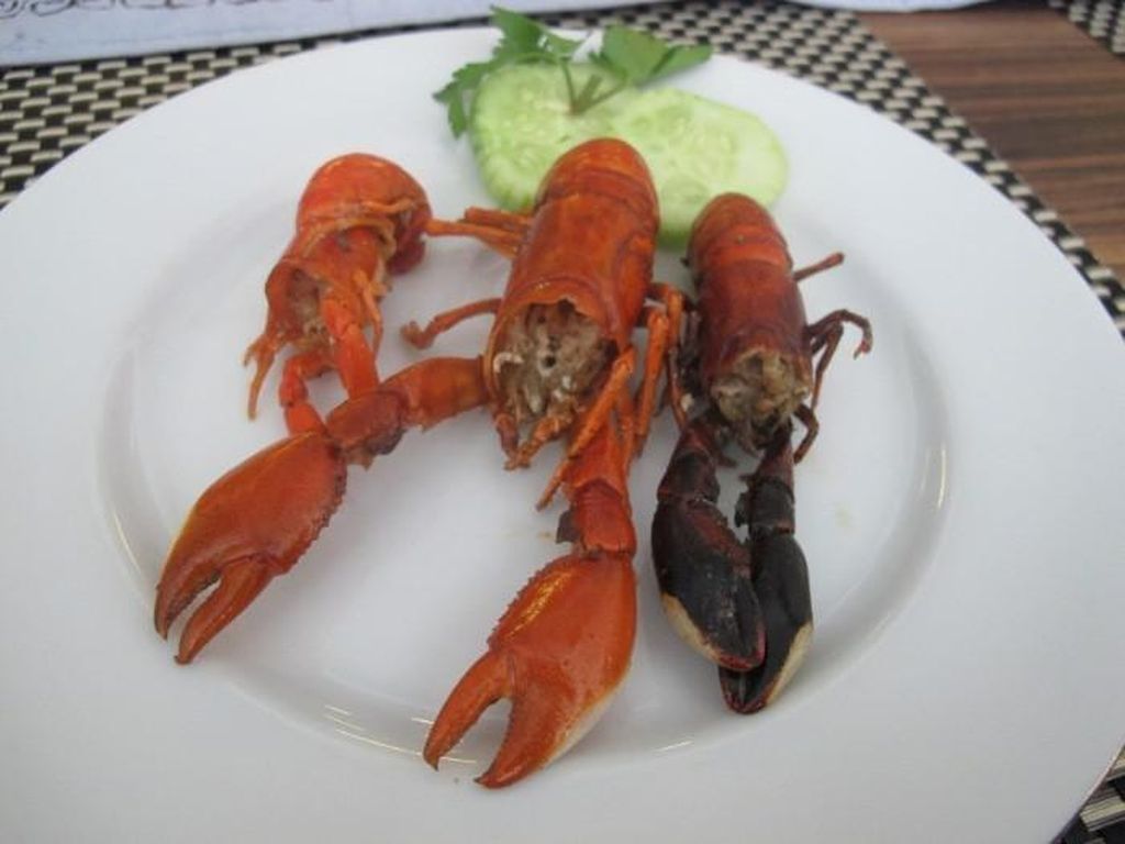 Heboh Lobster, Ada Udang Selingkuh Berharga Mahal di Papua Heboh Lobster, Ada Udang Selingkuh Berharga Mahal di Papua