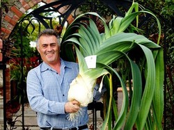 5 Sayuran dan Buah Terbesar di Dunia Ini Bikin Heboh