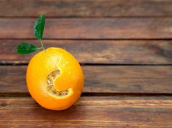 Manfaat Vitamin C yang Mungkin Belum Anda Ketahui