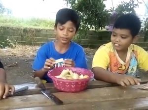 Kocak! Begini Aksi Bocah saat Mukbang Tebu