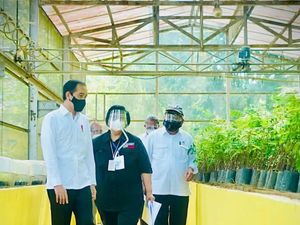 6 Lokasi Pusat Pembibitan RI, dari Rumpin hingga Labuan Bajo 6 Lokasi Pusat Pembibitan RI, dari Rumpin hingga Labuan Bajo