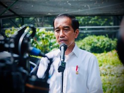 Jokowi Tinjau Pusat Sumber Benih dan Persemaian di Rumpin Bogor