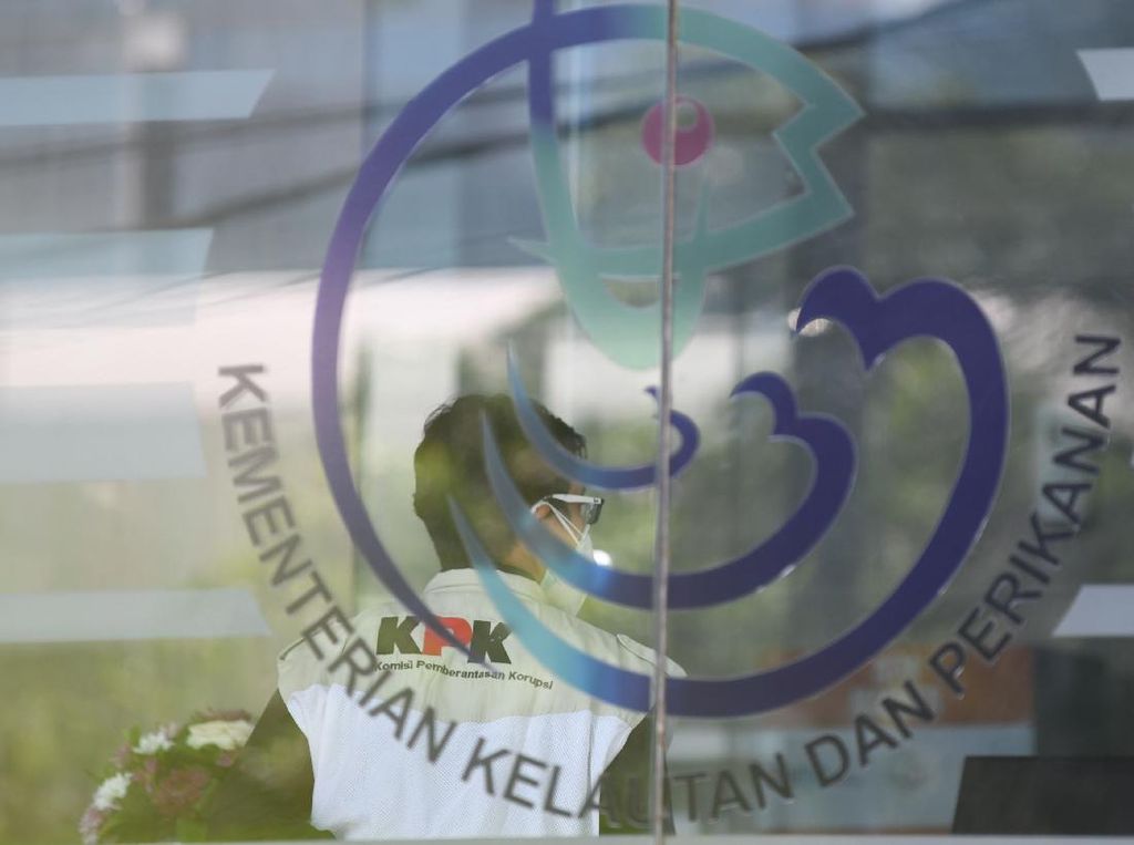 Marak Penyelundupan Lobster, Peneliti Minta Revisi Kebijakan Ekspor Marak Penyelundupan Lobster, Peneliti Minta Revisi Kebijakan Ekspor