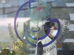 Nggak Perlu Wira-wiri, Urus Izin Kapal Perikanan Cukup di KKP