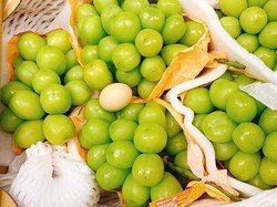 Lebih Besar dari Telur Ayam, Anggur Ini Diprediksi Termahal di Dunia