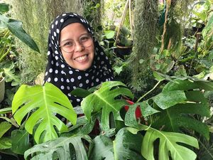 Kisah Kolektor Tanaman Hias, Dulu Beli Murah Kini Berharga Puluhan Juta Kisah Kolektor Tanaman Hias, Dulu Beli Murah Kini Berharga Puluhan Juta