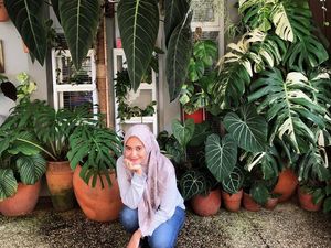 Koleksi Tanaman Hias, YouTuber Ini Punya King & Queen Anthurium Harga Jutaan Koleksi Tanaman Hias, YouTuber Ini Punya King & Queen Anthurium Harga Jutaan