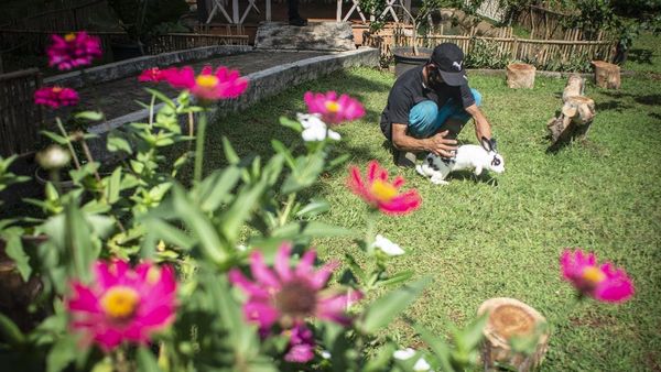 Ada Taman Kelinci Lho Gaes di Bambu Apus