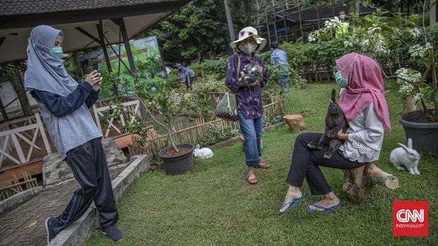 Pengunjung berinteraksi dengan kelinci di Taman Kelinci Bambu Apus, Jakarta, 27 November 2020. Taman yang terletak di Pusat Pelayanan Kesehatan Hewan dan Peternakan Dinas Ketahanan Pangan Kelautan dan Pertanian Bambu Apus ini merawat 188 ekor kelinci yang dapat dijadikan sebagai alternatif wisata edukasi bagi para warga. CNN Indonesia/Bisma Septalisma