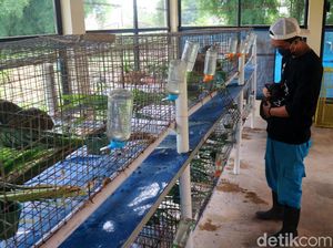 Asyik... Kini Ada Taman Kelinci di Jakarta Timur Asyik... Kini Ada Taman Kelinci di Jakarta Timur