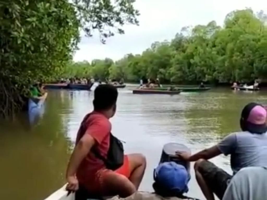 Viral Puluhan Perahu Cari Warga Kalsel Diterkam Buaya, Begini Ceritanya Viral Puluhan Perahu Cari Warga Kalsel Diterkam Buaya, Begini Ceritanya