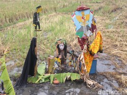 Wayang Panen Sidoarjo, Pertunjukan Seni Kontemporer di Tengah Sawah