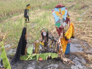 Wayang Panen Sidoarjo, Pertunjukan Seni Kontemporer di Tengah Sawah Wayang Panen Sidoarjo, Pertunjukan Seni Kontemporer di Tengah Sawah