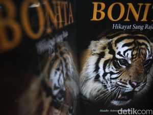 7 Karakteristik Hikayat dan Nilai yang Terkandung di Dalamnya