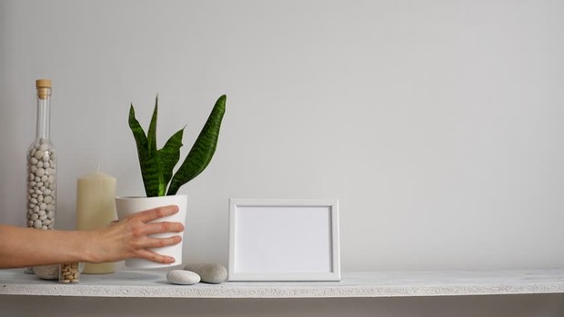 Dekorasi ruang kerja wfh tambahkan tanaman hijau supaya lebih fresh/freepik.com