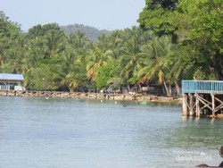 Desa Sarpokren, Surganya Burung dari Raja Ampat