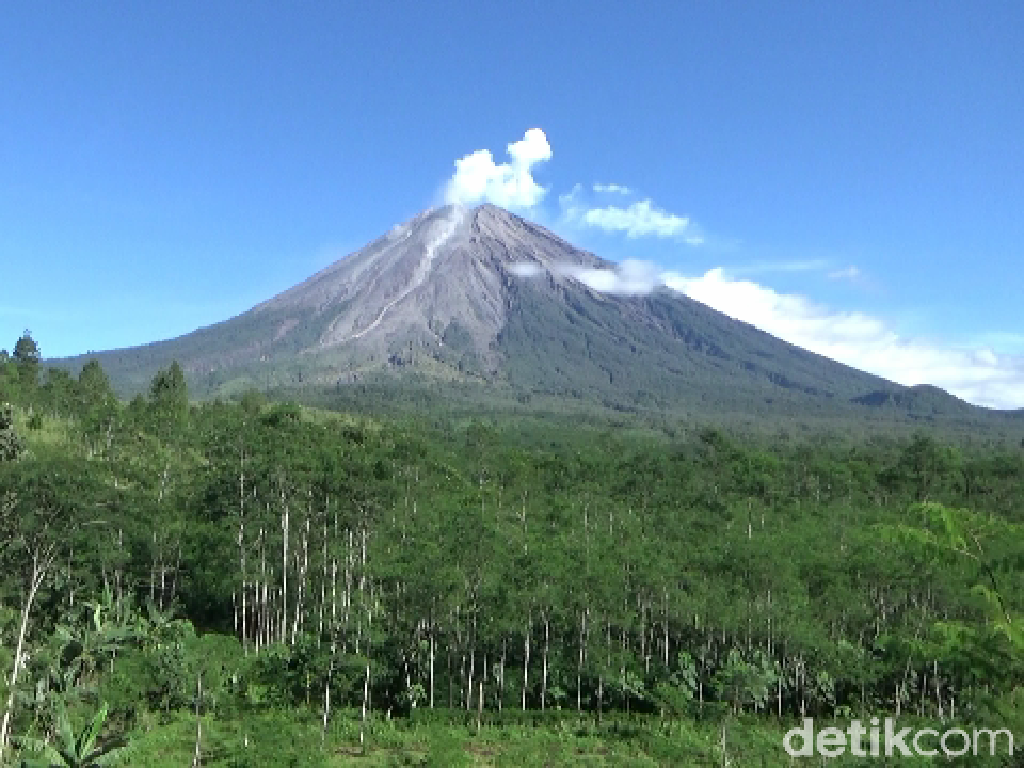 Gunung Semeru Ditutup Lagi, Volunter: Padahal Guguran Lava Biasa Terjadi