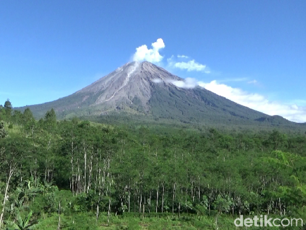 Gunung Semeru Ditutup Lagi, Volunter: Padahal Guguran Lava Biasa Terjadi Gunung Semeru Ditutup Lagi, Volunter: Padahal Guguran Lava Biasa Terjadi