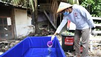 Kampung Becek Itu Kini Berubah Menjadi Lebih Bernilai