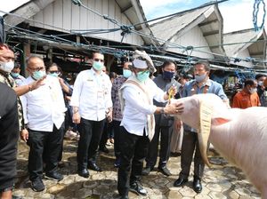 Mentan Ingin Tana Toraja Jadi Gerbang Utama Pertanian Indonesia