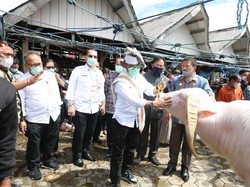 Mentan Ingin Tana Toraja Jadi Gerbang Utama Pertanian Indonesia