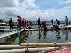 Seratus Keramba Jaring Apung di Waduk Jatigede Ditertibkan