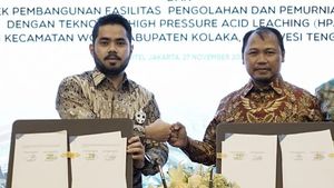Kolaborasi Pembangunan Industri Smelter di Kolaka